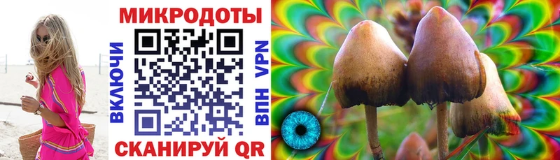 ОМГ ОМГ ссылки  Чкаловск  Галлюциногенные грибы MAGIC MUSHROOMS  купить  сайты 